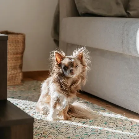 Σπίτι διακοπών Haeuserl Am Wald