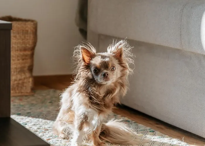 Vakantiehuis Haeuserl Am Wald